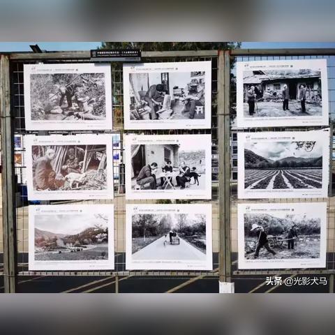 平遥今日论坛最新消息,平遥今日热门新闻