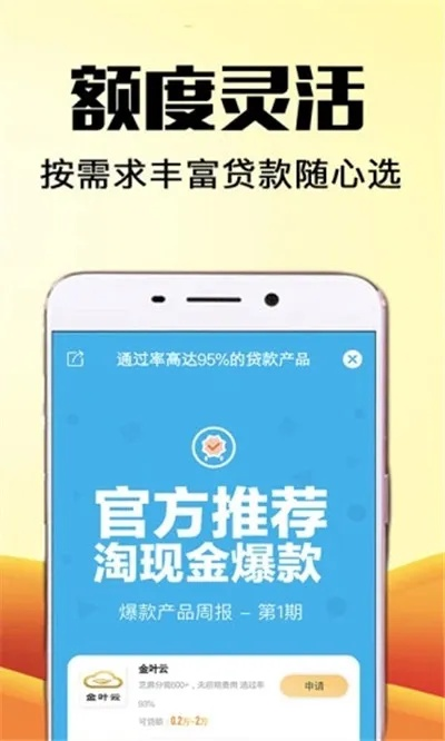 下载官方芝麻贷款,快速问题设计方案-豪华款_v2.345