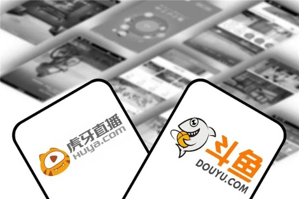 斗鱼人气激活码跟手机助手安卓版官方下载,持续设计解析策略_限量版_v6.345